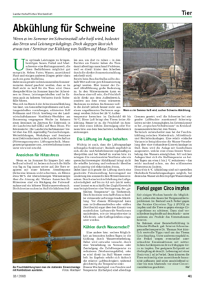 Landwirtschaftliches Wochenblatt Tier Abkühlung für Schweine Wenn es im Sommer im Schweinestall sehr heiß wird, bedeutet das Stress und Leistungsrückgänge.