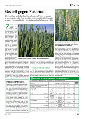 Landwirtschaftliches Wochenblatt Pflanze Gezielt gegen Fusarium Die Anschluss- und Abschlussbehandlungen in Weizen werden in erster Linie durch das Fusariumrisiko bestimmt.