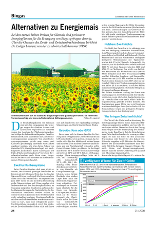 Biogas Landwirtschaftliches Wochenblatt Alternativen zu Energiemais Bei den zurzeit hohen Preisen für Silomais sind preiswerte Energiepflanzen für die Erzeugung von Biogas gefragter denn je.