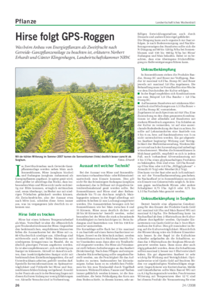 Pflanze Landwirtschaftliches Wochenblatt Hirse folgt GPS-Roggen Was beim Anbau von Energiepflanzen als Zweitfrucht nach Getreide-Ganzpflanzensilage zu beachten ist, erläutern Norbert Erhardt und Günter Klingenhagen, Landwirtschaftskammer NRW.