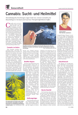 Gesundheit Landwirtschaftliches Wochenblatt Unsere Autorin: Elke Kokemoor, Apothekerin Cannabis: Sucht- und Heilmittel Neurobiologische Forschungen zeigen nicht nur, warum Cannabis eine Rauschdroge ist.