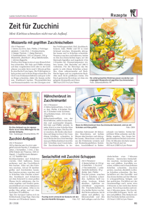 Landwirtschaftliches Wochenblatt Rezepte Zeit für Zucchini Mini-Kürbisse schmecken nicht nur als Auflauf.
