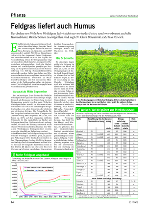 Pflanze Landwirtschaftliches Wochenblatt Feldgras liefert auch Humus Der Anbau von Welschem Weidelgras liefert nicht nur wertvolles Futter, sondern verbessert auch die Humusbilanz.