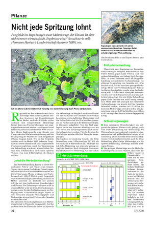 Pflanze Landwirtschaftliches Wochenblatt Nicht jede Spritzung lohnt Fungizide im Raps bringen zwar Mehrerträge, der Einsatz ist aber nicht immer wirtschaftlich.