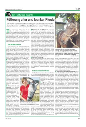 Landwirtschaftliches Wochenblatt Tier E ine ausgewogene Futterration für ein Pferd zu erstellen, erfordert an sich schon eine gewisse Sachkenntnis sowie Erfahrung und nicht zuletzt ein bisschen Re- chenarbeit.