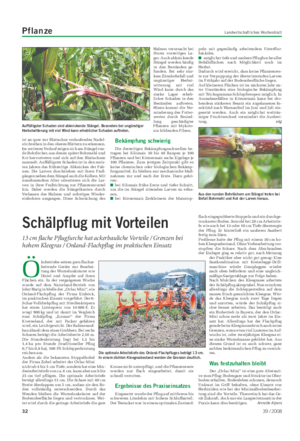 Pflanze Landwirtschaftliches Wochenblatt Ö kobetriebe setzen gern flachar- beitende Geräte zur Bearbei- tung der Wurzelunkräuter wie Distel und Ampfer auf ihren Flächen ein.