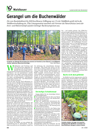 Waldbauer Landwirtschaftliches Wochenblatt Gerangel um die Buchenwälder Die vom Bundeskabinett bis 2020 beschlossene Stilllegung von 5 % der Waldfläche greift tief in die Waldbewirtschaftung ein.