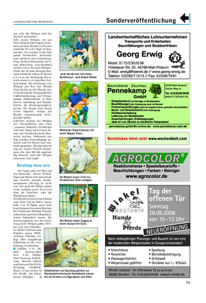 Landwirtschaftliches Wochenblatt Sonderveröffentlichung 71 um sich die Welpen und die Züchter anzusehen.