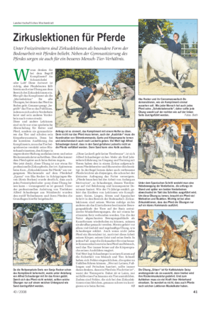 Landwirtschaftliches Wochenblatt Tier Zirkuslektionen für Pferde Unter Freizeitreitern sind Zirkuslektionen als besondere Form der Bodenarbeit mit Pferden beliebt.
