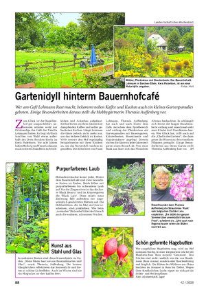Garten Landwirtschaftliches Wochenblatt Zum Glück ist der Kapellen-hof gut ausgeschildert, an-sonsten würden wohl nur Ortskundige das Café der Familie Lohmann finden.