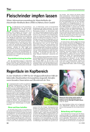 Tier Landwirtschaftliches Wochenblatt Im vergangenen Jahr wurden aus mehrerengrößeren Schafbeständen in NRW EndeJuli Fälle von Dermatophilose bzw.