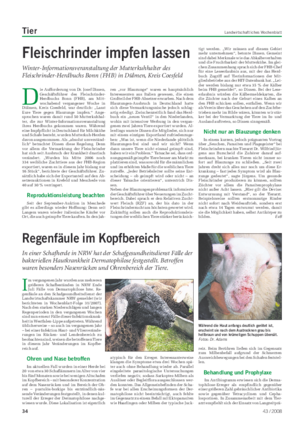 Tier Landwirtschaftliches Wochenblatt I m vergangenen Jahr wurden aus mehreren größeren Schafbeständen in NRW Ende Juli Fälle von Dermatophilose bzw.