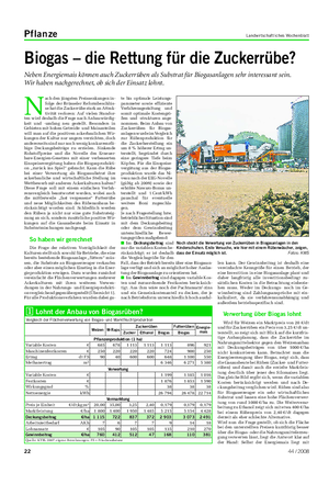 Pflanze Landwirtschaftliches Wochenblatt Biogas – die Rettung für die Zuckerrübe?
