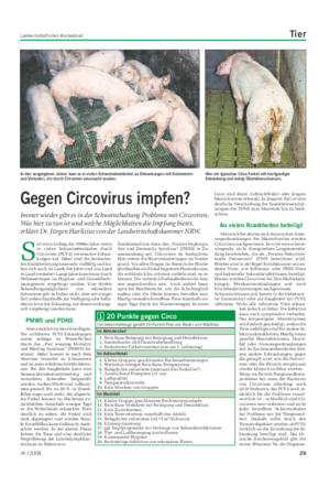 Landwirtschaftliches Wochenblatt Tier S eit etwa Anfang der 1990er-Jahre treten in vielen Schweinebeständen durch Circoviren (PCV2) verursachte Erkran- kungen auf.