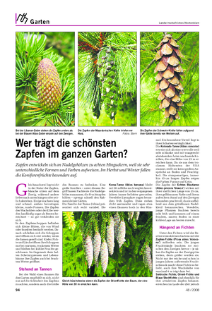 Garten Landwirtschaftliches Wochenblatt G leichmacherei liegt nicht in der Natur der Zapfen.