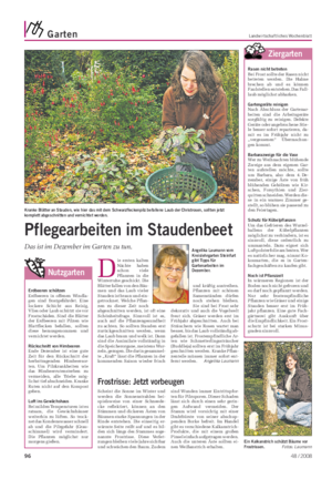 Garten Landwirtschaftliches Wochenblatt Pflegearbeiten im Staudenbeet Das ist im Dezember im Garten zu tun.