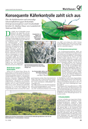 Landwirtschaftliches Wochenblatt Waldbauer D er Befall durch Borkenkäfer konnte landesweit bis September auf hin- nehmbare 160 000 fm „Borkenkäfer- holz“ (ca.