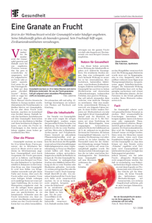 Gesundheit Landwirtschaftliches Wochenblatt Unsere Autorin: Elke Kokemoor, Apothekerin Eine Granate an Frucht Jetzt in der Weihnachtszeit wird der Granatapfel wieder häufiger angeboten.
