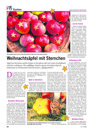 Garten Landwirtschaftliches Wochenblatt D er Apfel hat als weih- nachtliches Symbol eine lange Tradition.