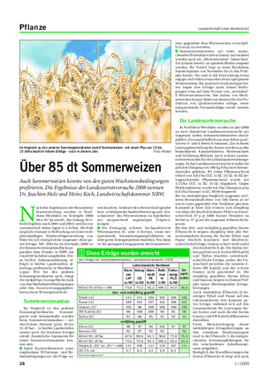 Pflanze Landwirtschaftliches Wochenblatt N ach den Ergebnissen der Besonderen Ernteermittlung wurden in Nord- rhein-Westfalen im Erntejahr 2008 68,4 dt/ ha erzielt, das bislang dritt- beste Ergebnis nach 2001 und 2004, welche nur unwesentlich höher lagen (1,5 dt/ha).