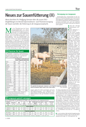 Landwirtschaftliches Wochenblatt Tier Neues zur Sauenfütterung (II) Heute berichtet Dr.