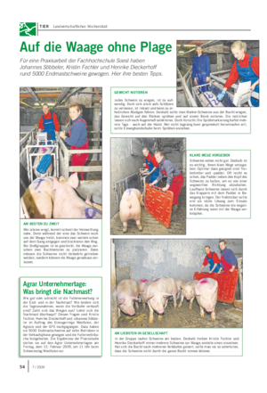 TIER Landwirtschaftliches Wochenblatt GEWICHT NOTIEREN Jedes Schwein zu wiegen, ist zu auf- wendig.