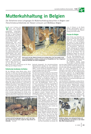 Landwirtschaftliches Wochenblatt TIER Mutterkuhhaltung in Belgien Die Teilnehmer eines Lehrganges für Mutterkuhhaltung besuchten in Belgien zwei Fleischrinderzuchtbetriebe der Rassen Limousin und Weißblaue Belgier.