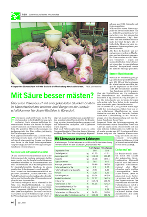 TIER Landwirtschaftliches Wochenblatt F uttersäuren sind mittlerweile in der Pra- xis besonders in der Ferkelfütterung stark verbreitet.