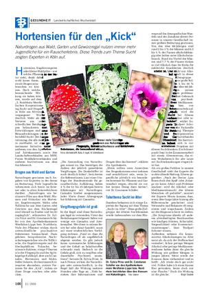GESUNDHEIT Landwirtschaftliches Wochenblatt Hortensien für den „Kick“ Naturdrogen aus Wald, Garten und Gewürzregal nutzen immer mehr Jugendliche für ein Rauscherlebnis.