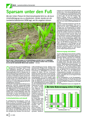  / 2009 Mais  Landwirtschaftliches Wochenblatt 3512 / 2009 sparsam unter den Fuß Bei den hohen Preisen für Diammonphosphat lohnt es, die teure Unterfußdüngung neu zu überdenken.