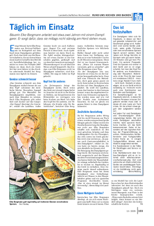 E inige Monate hatte Elke Borg- mann aus Bottrop-Feldhau- sen im Ruhrgebiet mit dem Kauf eines Dampfgarers geliebäu- gelt.