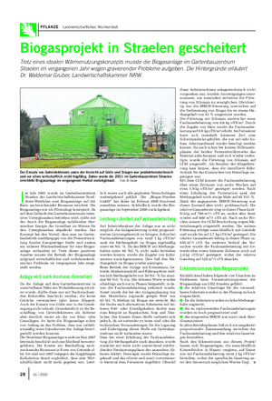 PFLANZE Landwirtschaftliches Wochenblatt Biogasprojekt in Straelen gescheitert Trotz eines idealen Wärmenutzungskonzepts musste die Biogasanlage im Gartenbauzentrum Straelen im vergangenen Jahr wegen gravierender Probleme aufgeben.