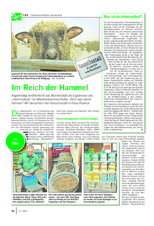 TIER Landwirtschaftliches Wochenblatt Der „Hammeltest“ ist in Fachkreisen derRinderernährung ein bekannter Begriff.