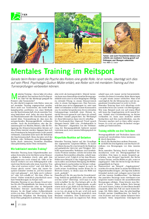 Mentales Training im Reitsport Gerade beim Reiten spielt die Psyche des Reiters eine große Rolle.
