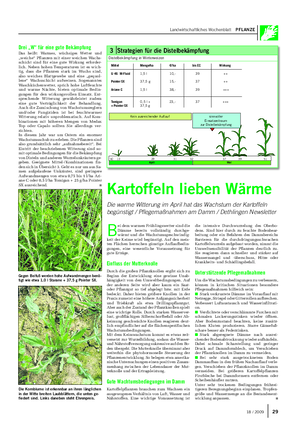 Landwirtschaftliches Wochenblatt PFLANZE Drei „W“ für eine gute Bekämpfung Das heißt: Warmes, wüchsiges Wetter und „weiche“ Pflanzen mit einer weichen Wachs- schicht sind für eine gute Wirkung erforder- lich.