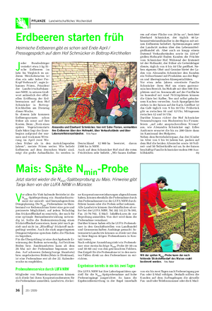PFLANZE Landwirtschaftliches Wochenblatt Mais: Späte Nmin-Probe Jetzt startet wieder die Nmin-Spätbeprobung zu Mais.