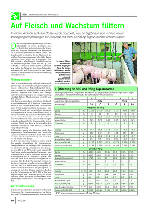 TIER Landwirtschaftliches Wochenblatt Auf Fleisch und Wachstum füttern In einem Versuch auf Haus Düsse wurde überprüft, welche Ergebnisse sich mit den neuen Versorgungsempfehlungen für Schweine mit mehr als 900 g Tageszunahme erzielen lassen.