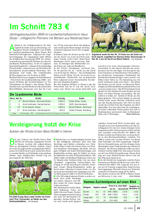 B ei der Auktion der Rinder-Union West (RUW) am Dienstag vergangener Woche in Hamm wurden alle aufgetriebenen Tiere zu gestiegenen Preisen verkauft.