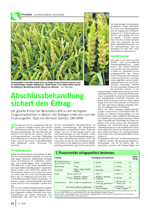 PFLANZE Landwirtschaftliches Wochenblatt Abschlussbehandlung sichert den Ertrag Der gezielte Schutz der Weizenähre zählt zu den wichtigsten Fungizidmaßnahmen in Weizen.