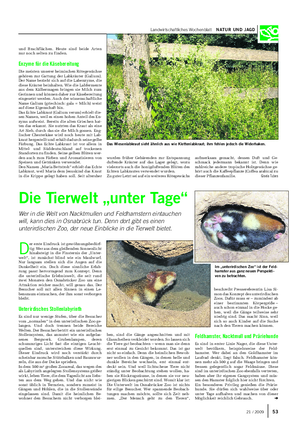 Landwirtschaftliches Wochenblatt NATUR UND JAGD und Brachflächen.