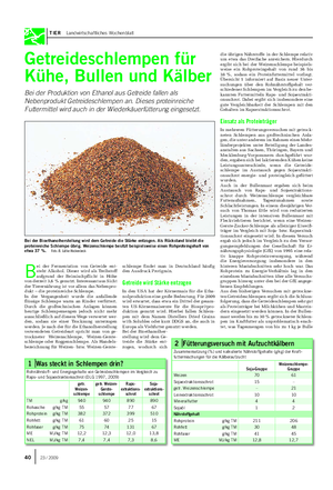 TIER Landwirtschaftliches Wochenblatt Getreideschlempen für Kühe, Bullen und Kälber Bei der Produktion von Ethanol aus Getreide fallen als Nebenprodukt Getreideschlempen an.
