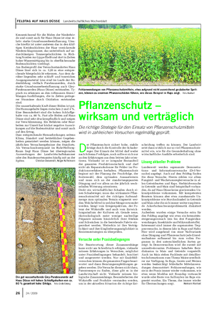 FELDTAG AUF HAUS DÜSSE Landwirtschaftliches Wochenblatt Kennzeichnend für die Böden der Niederbör- de und somit auch für Haus Düsse ist eine re- lativ starke Grundwasserbeeinflussung.