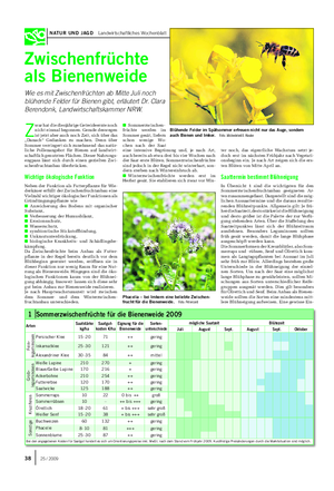 NATUR UND JAGD Landwirtschaftliches Wochenblatt Zwischenfrüchte als Bienenweide Wie es mit Zwischenfrüchten ab Mitte Juli noch blühende Felder für Bienen gibt, erläutert Dr.
