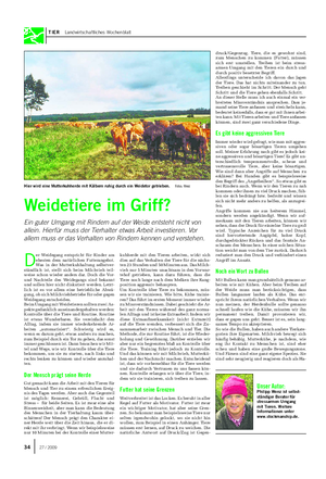 TIER Landwirtschaftliches Wochenblatt D er Weidegang entspricht für Rinder am ehesten dem natürlichen Futterangebot.