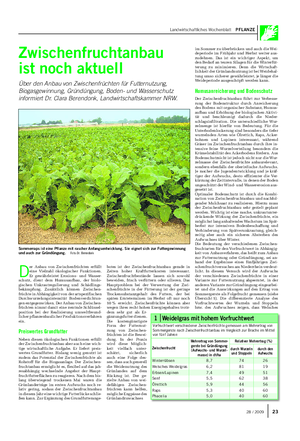 Landwirtschaftliches Wochenblatt PFLANZE Zwischenfruchtanbau ist noch aktuell Über den Anbau von Zwischenfrüchten für Futternutzung, Biogasgewinnung, Gründüngung, Boden- und Wasserschutz informiert Dr.