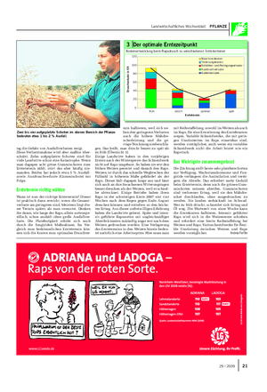 Landwirtschaftliches Wochenblatt PFLANZE tag die Gefahr von Ausfallverlusten steigt.