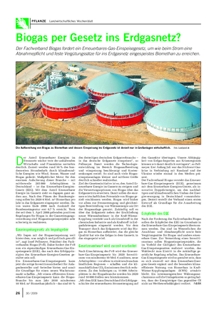 PFLANZE Landwirtschaftliches Wochenblatt Biogas per Gesetz ins Erdgasnetz?