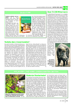 Landwirtschaftliches Wochenblatt NATUR UND JAGD Rund 76 000 Wildschweine In Mecklenburg-Vorpommern ist im Jagdjahr 2008/09 deutlich mehr Schwarzwild zur Stre- cke gebracht worden als in den Vorjahren.