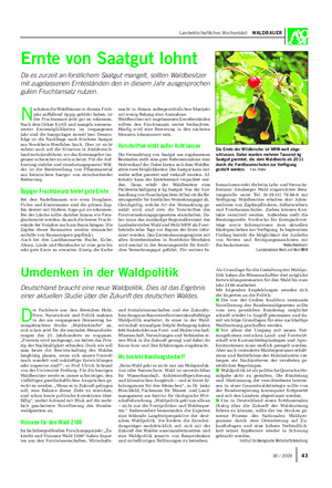 Landwirtschaftliches Wochenblatt WALDBAUER Ernte von Saatgut lohnt Da es zurzeit an forstlichem Saatgut mangelt, sollten Waldbesitzer mit zugelassenen Ernteständen den in diesem Jahr ausgesprochen guten Fruchtansatz nutzen.