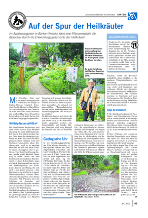 Landwirtschaftliches Wochenblatt GARTEN Auf der Spur der Heilkräuter Im Apothekergarten in Borken-Weseke führt eine Pflanzenspirale die Besucher durch die Entwicklungsgeschichte der Heilkräuter.